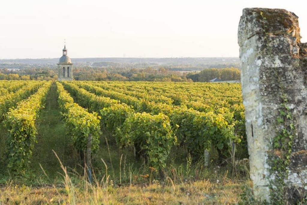 Studio Au Coeur Des Vignes Apartament Montlouis-sur-Loire Zewnętrze zdjęcie