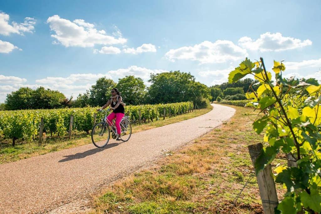 Studio Au Coeur Des Vignes Apartament Montlouis-sur-Loire Zewnętrze zdjęcie