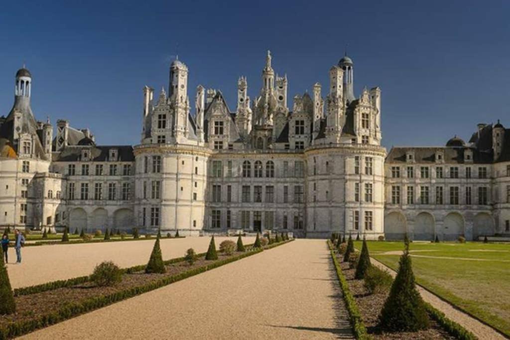 Studio Au Coeur Des Vignes Apartament Montlouis-sur-Loire Zewnętrze zdjęcie
